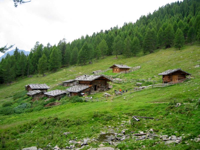 Kaserfeldalm Ultental.jpg